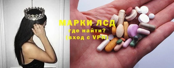 индика Мурманск