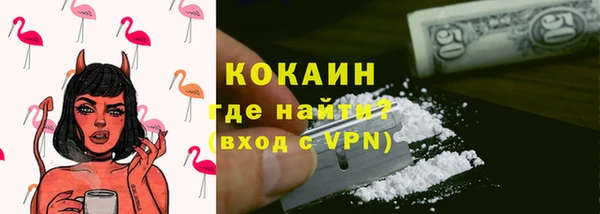 индика Медногорск