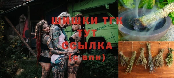 индика Медногорск