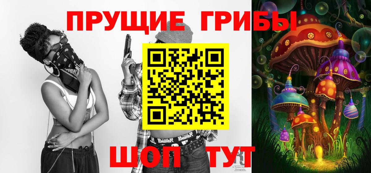 Псилоцибиновые грибы Psilocybe Канаш