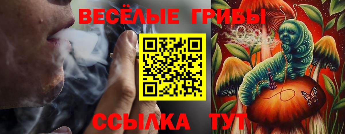 Канаш  Псилоцибиновые грибы Cubensis  Вход с VPN  Галлюциногенные грибы GOLDEN TEACHER 